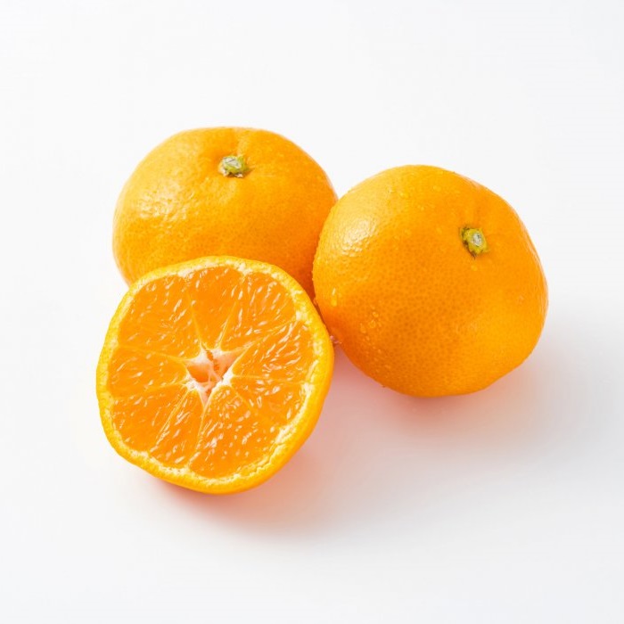 早みかん 5kg