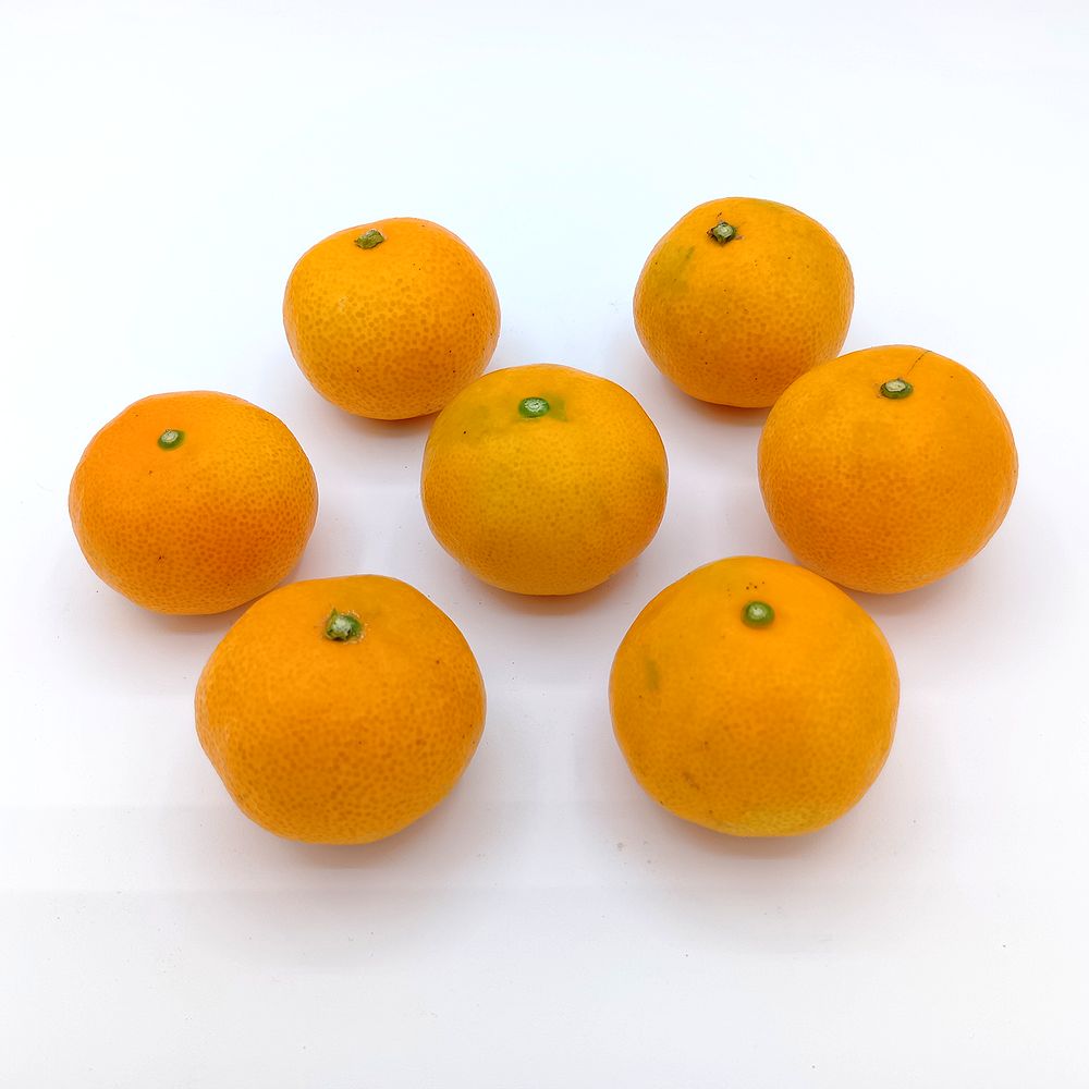 早みかん 小粒ちゃん 1.8kg