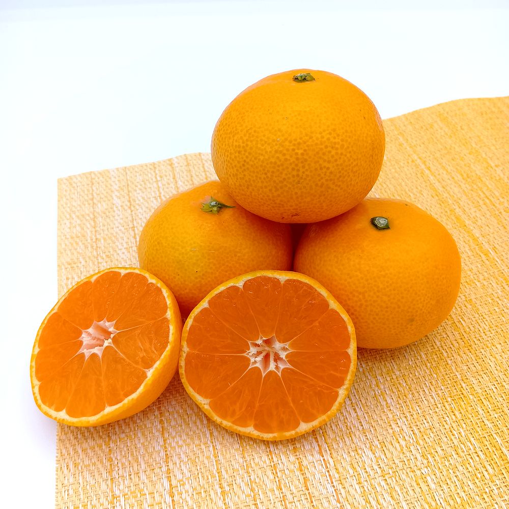 早みかん 【小玉サイズ 1.8kg】