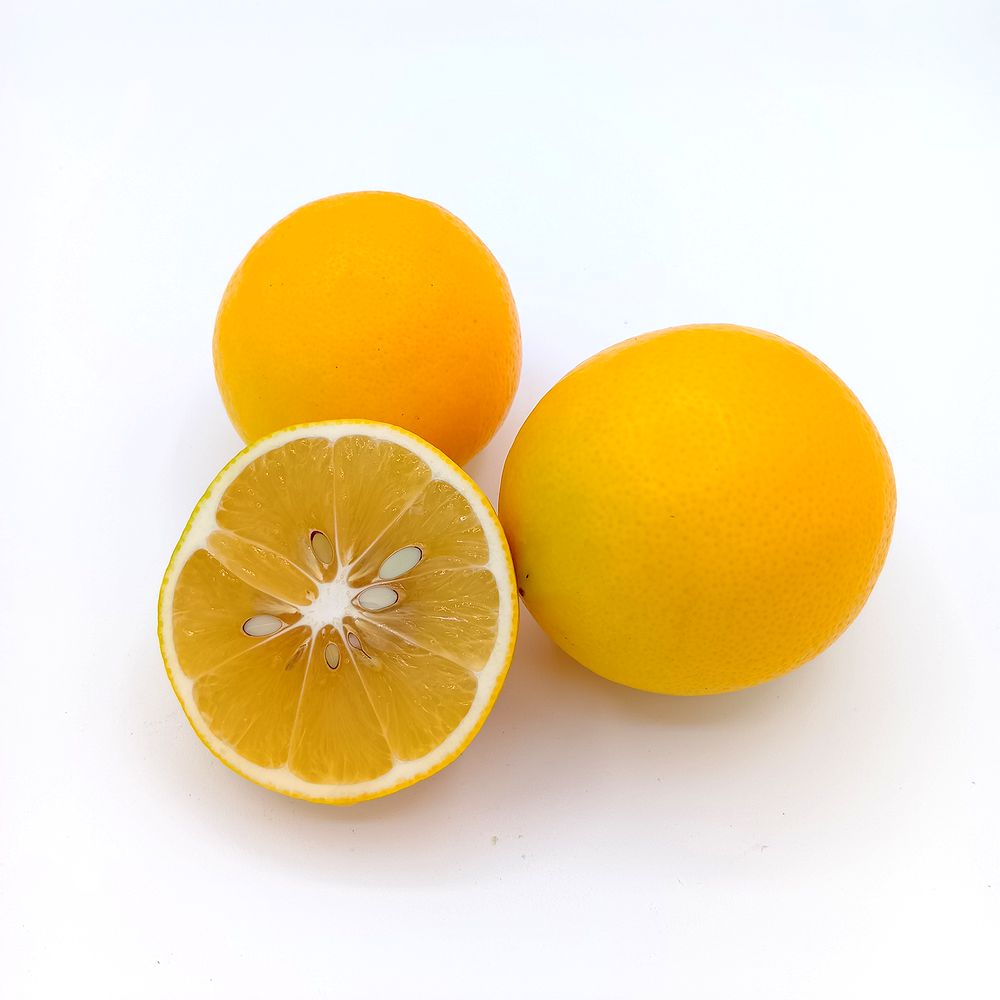 マイヤーレモン 9.3kg