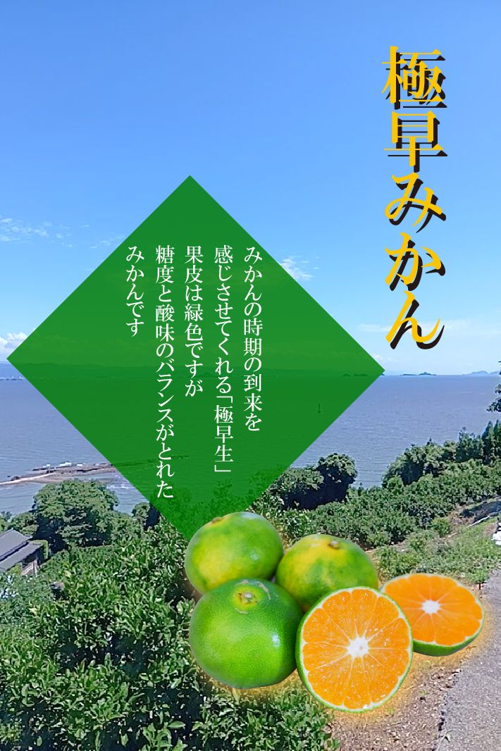 極早みかん