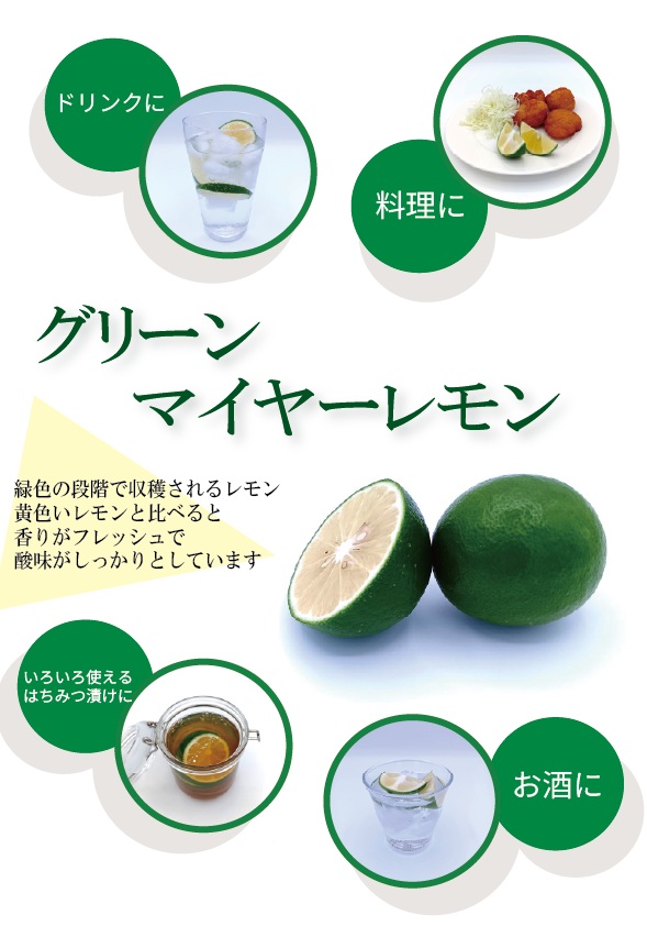 グリーンマイヤーレモン
